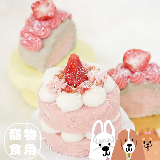 HHBW x MOLIHOM 春日寵物甜品蛋糕工作坊（寵物食用）