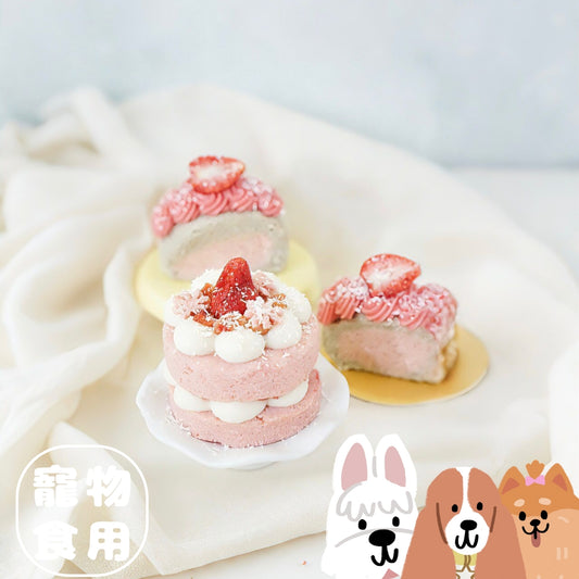 HHBW x MOLIHOM 春日寵物甜品蛋糕工作坊（寵物食用）