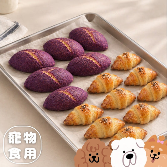 寵物食用流心紫薯麵包配牛角包工作坊